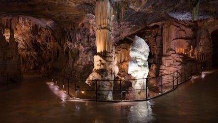 Экскурсия по замку Предяма и пещере Постойна из Любляны